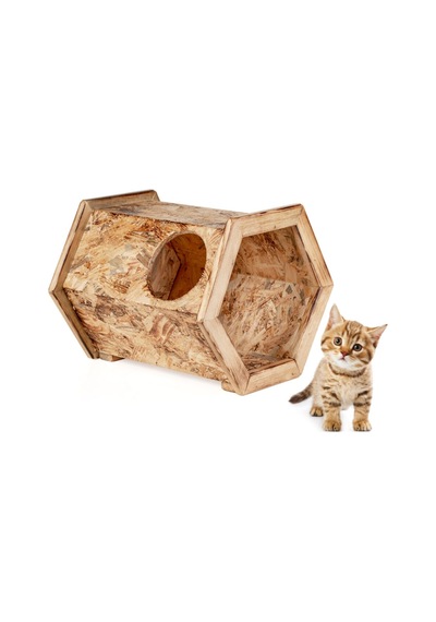 Özel Tasarım Iç Mekan Kedi Evi Yuvası Ve Mama Kabı