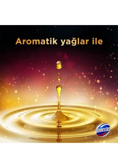 Yıldız Çiçeği Aromalı Tuvalet Bloğu İle Ferah Temizlik
