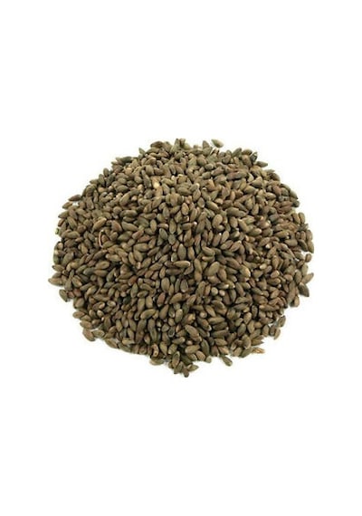 Mazı Tohumu 100 Adet Çit Mazı Tohumu Çit Mazısı Tohumu Süs Bitki
