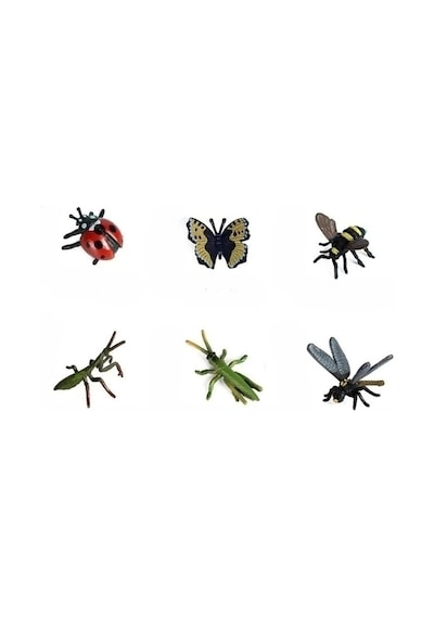 Sürüngen Dünyası - 6 Çeşit Mini Böcek Çeşitleri Set 1