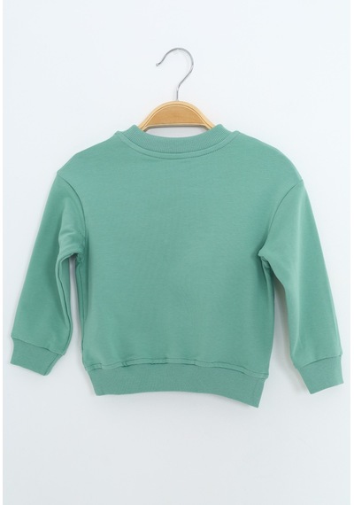 Toontoy Kids Toontoy Erkek Çocuk Relax Fit Bisiklet Yaka Hafif Düşük Omuz Nakışlı Sweatshirt Yeşil