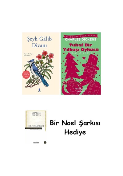 Şeyh Gâlib Divanı + Tuhaf Bir Yılbaşı Öyküsü + Bir Noel Şarkısı