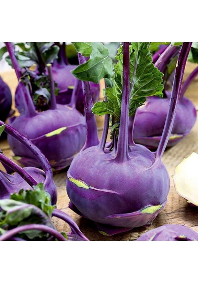 Ata Tohum Mor Kohlrabi Alabaş Tohumu 15 Tohum