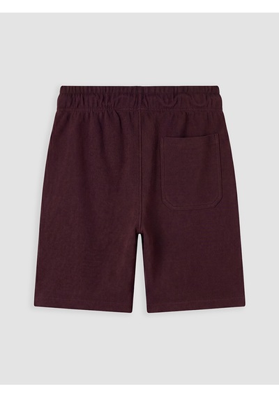 Lcw Vision Kahverengi Regular Fit Pike Erkek Şort