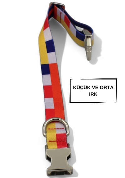Caramelos Köpek Tasması-küçük Irk Ve Orta Irk İsimli Tasma 03 Diğer