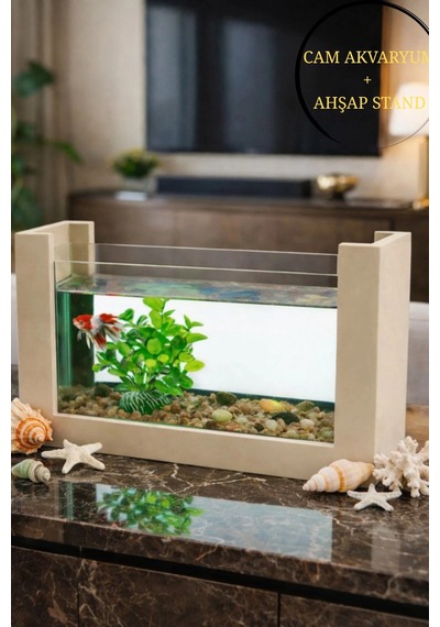 Reyo Ok-ay Store Beta Balığı İçin Ahşap Mini Akvaryum Modern Şık Doğal Minimal Tasarım Akvaryum Krem