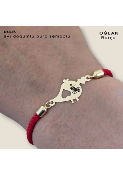 Archin Oğlak Burçlarına Kırmızı Örgülü 14 Ayar Altın Plakalı Minik Kuş Motifli Hediye Bileklik-363burç Oğlak Archin Oğlak Burçlarına Kırmızı Örgülü 14 Ayar Altın Plakalı Minik Kuş Motifli Hediye Bileklik-363burç Oğlak
