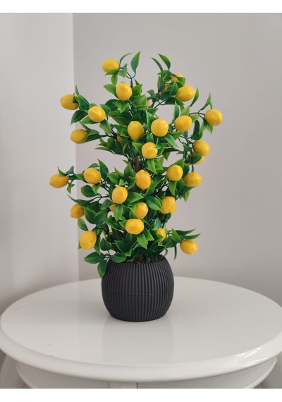 Limon Ağacı Mutfak Süsü 50 Cm Antrasit Saksıda