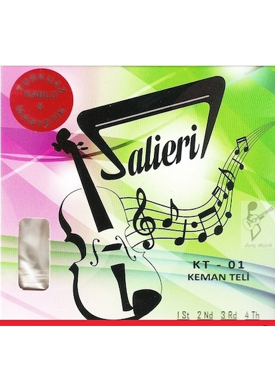 Salieri Kt-01 Keman Teli - Set