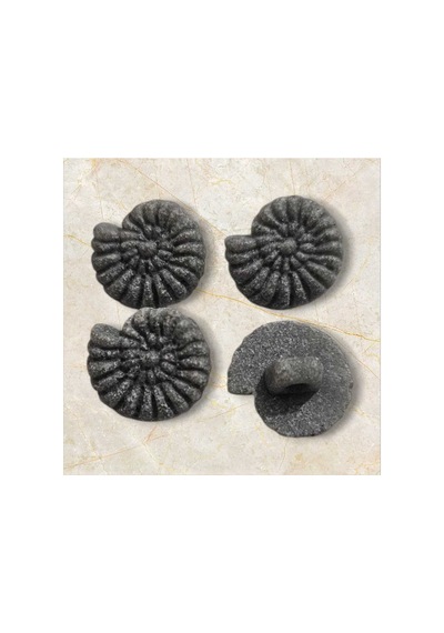 Fosil Salyangoz Kemik Düğme Alttan Dikim 1,4 Cm 6 Adet - 691742218