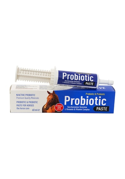 N Active Probiotic Paste 60 ML