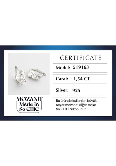 Nova Mozanit 18 Ayar Beyaz Altın Kaplama Gümüş Tria Küpe Beyaz