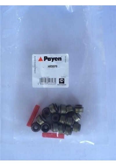 PAYEN HR5076 PAYEN SUBAP LASTİĞİ S40 V40 2.0 1.8 1.9 6mm
