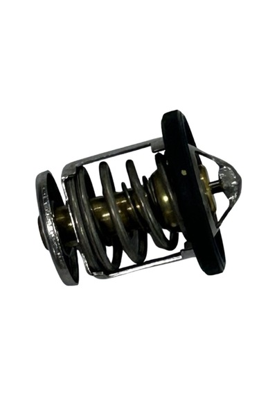 Termostat Ns-rs A 0000000004811 0