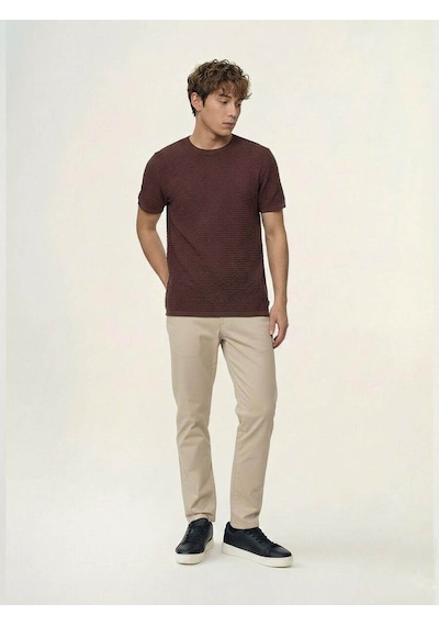 Loft Basic Kahverengi Erkek T-shirt Lf2043430