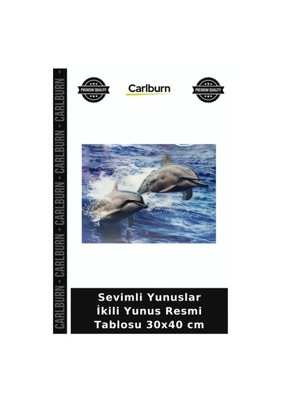 Sevimli Yunuslar İkili Yunus Resmi Tablosu 30x40 Cm Salon Dekoru Duvar Objesi Dekor Süsü