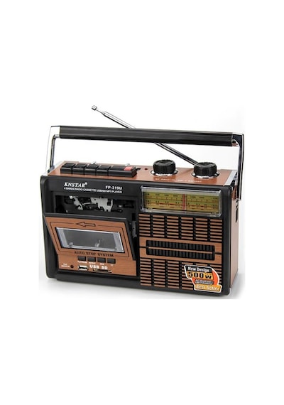 Tepe Fp-319U Usb Sd Fm Radyolu Kaset Çalar Müzik Kutusu
