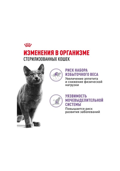 Royal Canın Sterilised Jöleli Kedi Maması, 28 X 85 Gr 194009963