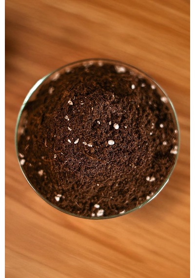 Peat Moss 5l X2 Organik Torf Toprak Saksı Ve Fide İçin Avantaj Paket 0