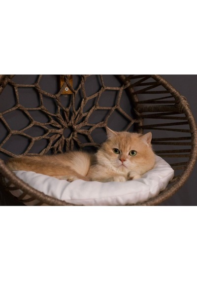 Kedi Köpek Kalorifer Askılı Yatak