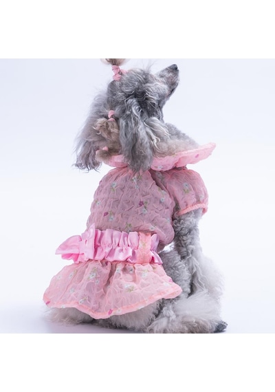 Pembe Valencia Çiçek Desenli Elbise Kedi Köpek Elbisesi - Kedi Köpek Kıyafeti