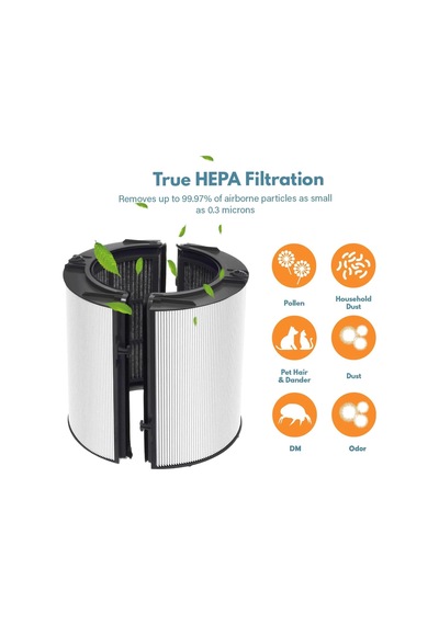 Lexroo Hepa Filtre + Karbon Filtre Dyson İle Uyumlu Hp04 Tp04 Dp04 Ph04 Hp09 Tp09 Hp07 Standart