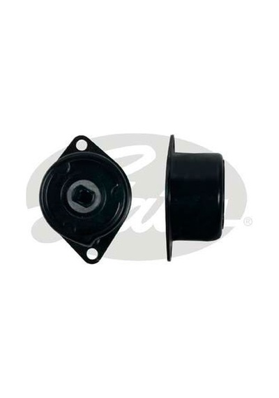 Gates T39195 Alternator Gergı Rulmanı Kutuklu Transporter T4 90 03