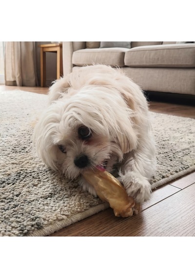 Kito Kurutulmuş Kuzu Kulak Çiğnemelik Doğal Glutensiz Organik Köpek Ödül Maması 100 G