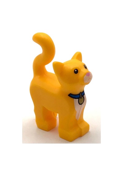 Orjinal Hayvanlar, Mavi Tasmalı Sarı Kedi, Animal, Yellow Cat