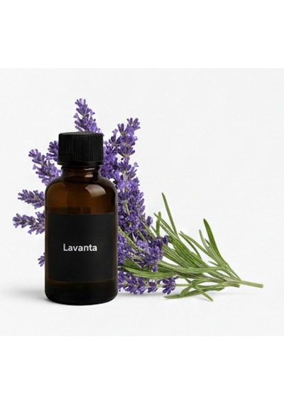 Lavanta Uçucu Yağ Esans Yağı Saf Lavanta Yağı 10 Ml Buhar Makinası Kurutma Makinası İçin