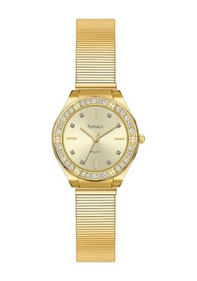 Ferrucci Fcm 0224 01106.m.2 60092 Kadın Kol Saati
