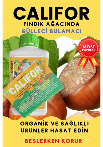 Gülleci Bulamacı 1 L