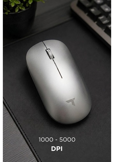 Mouse Çift Modlu Sessiz Kablosuz Fare Tm19 Gümüş Teknolojik Ürün Masaüstü Gereç Pratik Cihaz
