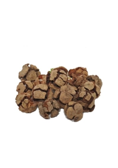Derya Eren Selvi Servi Kozalağı 500 G