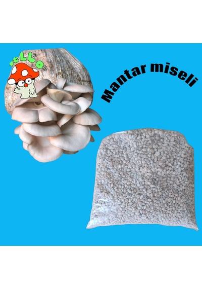3 Kg İstiridye Mantarı Tohumu Ekim Poşeti, Kireç, Alçı, Buğday Kepeği-full Paket 1 adet