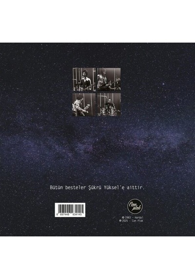 Hardal Nereden Nereye Limited Edition - Numaralı Siyah Plak Lp