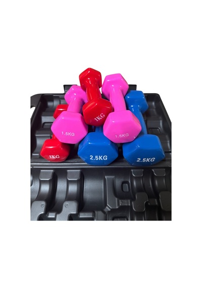 10 Kg Vinly Kaplı Dipping Dumbbell Set Kadınlar İçin Çantalı Dambıl Set 1 Kg, 1,5 Kg, 2,5 Kg