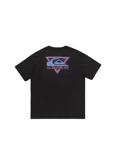 Quiksilver Eqyzt07654 Take Us Back Logo Ss Erkek Tişört 001