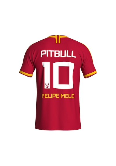 Gsstore Galatasaray Felipe Melo Legends T-shirt E232392 Sarı - Kırmızı