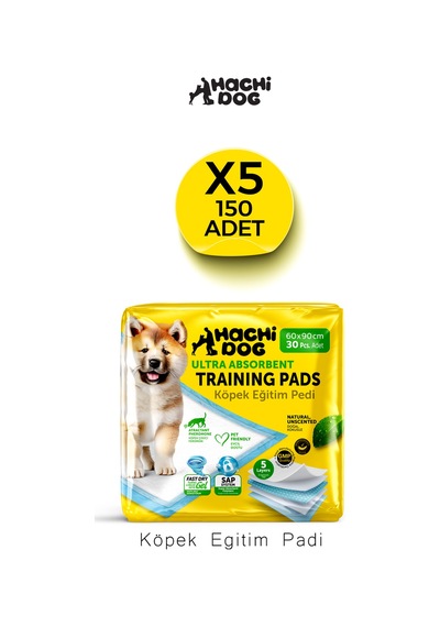 Köpek Eğitim Pedi 60x90 5 Katman 150 Adet Yellow Pack