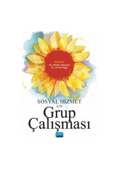 Sosyal Hizmet İçin Grup Çalışması / Kolektif