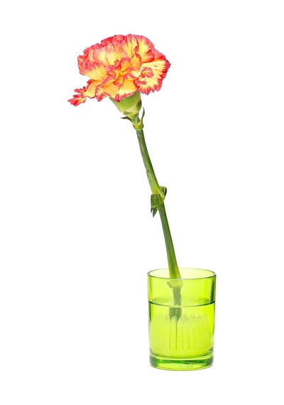 Flora Design-minimal Yeşil Cam Vazo Yeşil