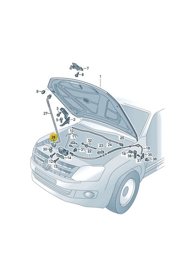 Vw Amarok 10-22 Motor Kaput Demiri Alt Lastigi Yuvasi 2H0805734A 465399467