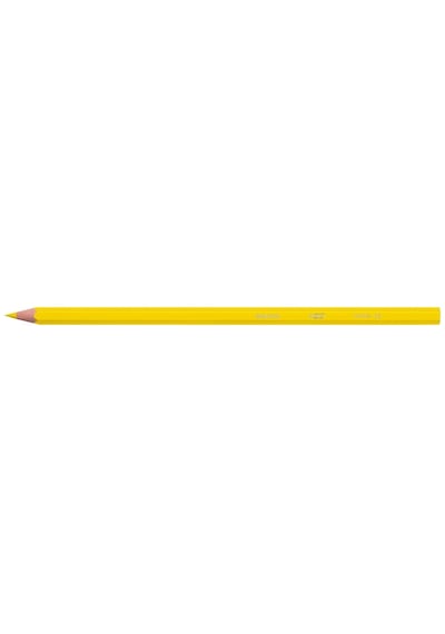 Bic Kids Evolution Kuru Boya Kalemi 24 + 1'li Metal Tüp