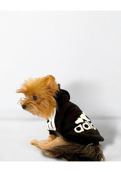 Black Adidog Kapşonlu Sweatshirt Köpek Kazağı