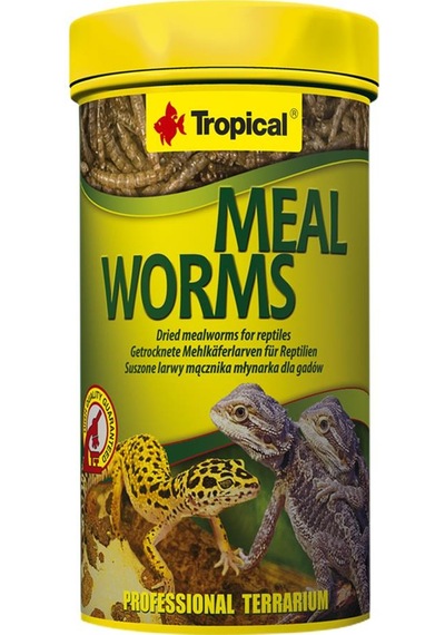 Tropical Meal Worms Kurutulmuş Un Kurdu 250 ML