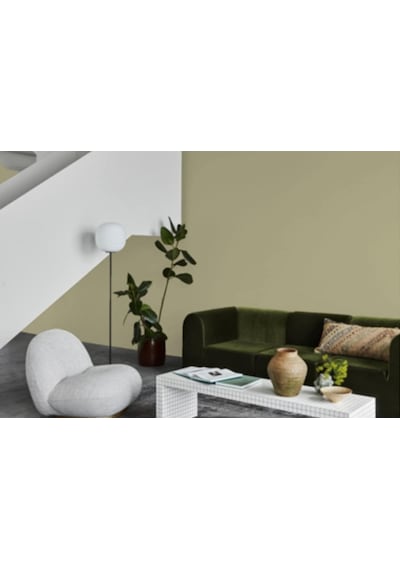 Jotun Green Tea 8493 Fenomastic Güzel Evim Serisi Zengin Mat