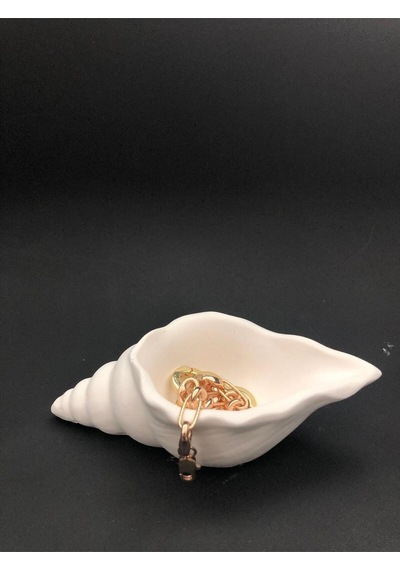 Bernami Vazo Pinterest Deniz Kabuğu Tabak - Takı Tabağı Diğer