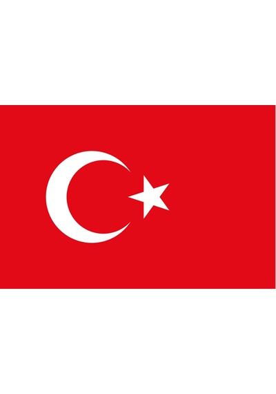 Türkiye Ülke Bayrağı 45x30cm Duvar Tablosu Çerçevesiz Pvc Tablo