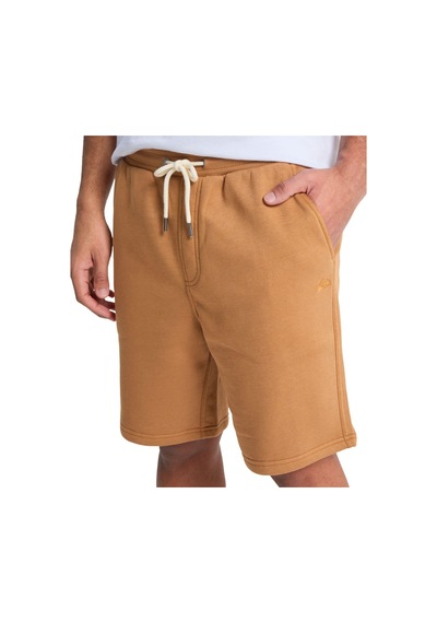 Quiksilver Salt Water Shor Erkek Şort Eqyfb03392-qk.3106 Kahverengi